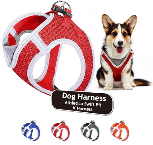 KRUZ PET KZA308–14L Reflektierendes Netzgeschirr, kein Ziehen, schnell anpassbar, V-Ausschnitt, Größe L