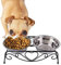 Cuencos Elevados para Mascotas, Acero Inoxidable, Cuencos Dobles para Comida de Perro y Gato, Cuencos de Agua, Comedero, Platos, Soporte de Estante, Soporte Elevado de Hierro