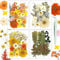 Resiners 100 Stück Gelb Getrocknete Blumen Natürliche Gepresste Getrocknete Blumen Blätter für Harz Schmuck Machen, DIY Kerzen, Anhänger, Handyhüllen, Fotorahmen, Bath Bombs, Scrapbook