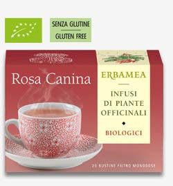 ROSA CANINA FILTRO BIO - 20 BUSTINE