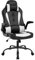 Gaming Chair Ergonomic Office Chair Desk Chair with Lumbar Support Flip Up Arms Headrest PU Leather Executive High Back Computer Chair for Adults Women Men (White)