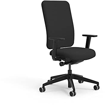boho office® Schreibtischstuhl, Drehstuhl Ergon in Schwarz, Sitzfläche und Armlehnen verstellbar, inkl. Lordosenstütze, Ergonomie geprüft, Made in Germany