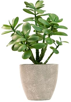 365 Blooming Decor Artificial Jade Plant 12 inch in Gray Pot for Home, Office Decor, Money Tree, Crassula ovata (Gray Pot, 12 inch)