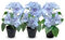 Murago - 3er Set Künstliche Azalee im Topf Blau - Kunstblume Kunstpflanze Pflanzen Blumen Gastro Tischdeko Frühling Dekoration Hellblau für Balkon Hochzeit
