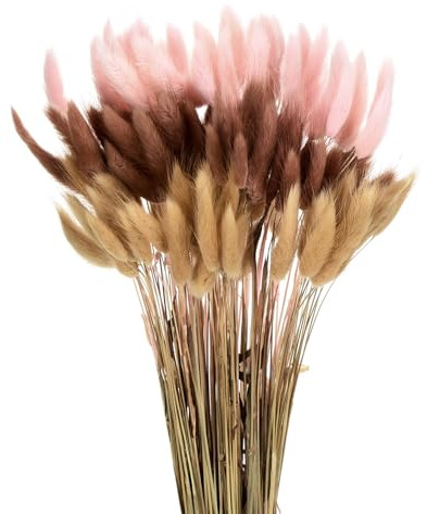 QUARKZMAN 120 Stück Natürliche Kaninchenhäschen Schwänze Getrocknete Blumen 17 Mini Pampasgras Lagurus für Blumendekorationen Hochzeit Weihnachten, Beige, Dunkelrosa, Dunkelbraun Rot