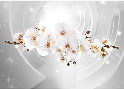 Runa Art Fototapete Blumen Orchidee 352 x 250 cm Vlies Tapeten XXL Moderne Wandtapete Wohnzimmer Schlafzimmer Grau 9235011b