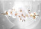 Runa Art Fototapete Blumen Orchidee 352 x 250 cm Vlies Tapeten XXL Moderne Wandtapete Wohnzimmer Schlafzimmer Grau 9235011b