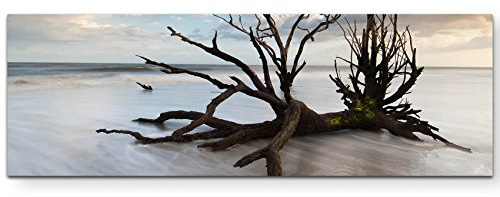 Eau Zone Wandbild auf Leinwand 150x50cm Baumstumpf am Strand