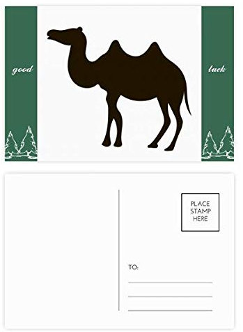 Postkarten-Set, Motiv: schwarzes Kamel, 20 Stück