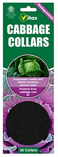 4 x Packs Of Cabbage Collars