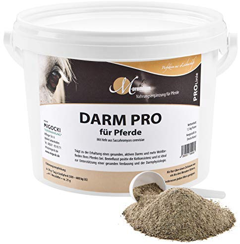 MIGOCKI DARM PRO – Ergänzungsfuttermittel für Pferde – Für die Erhaltung eines gesunden, aktiven Darm und mehr Wohlbefinden – Pulver – 1,5 kg
