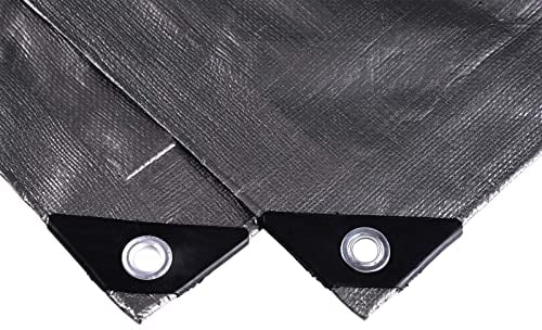 Laneetal Lona Impermeable Exterior 3x4m, Toldo Reforzado PE 280 g/m² Protección contra UV, con Ojales de Acero Inoxidable para Leña, Muebles, Jardín, Piscinia, Vehículos, Gris