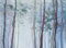 Livingwalls Vliestapete - Tapete Wald aquarell in Blau, Grün und Blau - Wandtapete für verschiedene Räume - Wandbild XXL 350 x 255 cm