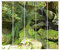 gardinen-for-life Flächenvorhang, Greenland 5er - Serie, Set 5tlg, Jew. Gr.60x245 cm