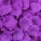 Haobase Lot de 2 000 pétales de rose artificiels pour Saint-Valentin, demande en mariage, décoration de table (violet)