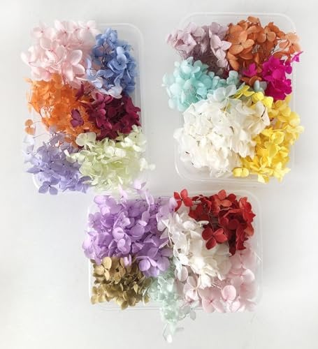 Set di ortensie secche conservate, 6 colori casuali per scatola, fiori di ortensia naturali al 100%, per candele fai da te, in resina, regali e artigianato (3 scatole)