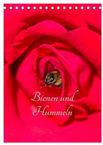 Bienen und Hummeln (Tischkalender 2026 DIN A5 hoch), CALVENDO Monatskalender: Bienen und Hummeln für das ganze Jahr (CALVENDO Tiere)