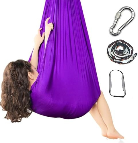 Hanging Swing Chair, Hammock up to 300lbs Indoor & Outdoor(Purple)