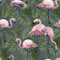 Exclusive Flamingo Wallpaper Birds Animals Feathers Tropical Pink Quirky Exotic Wallpaper (Green AL1031)