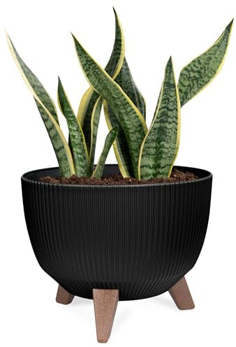 KONZEPT Pflanzschale Groß 29cm Schwarz, Blumentopf mit Füßen, wetterfest & UV-beständig, mit Wasserabfluss-Einsatz, Übertopf für Innen & Außen