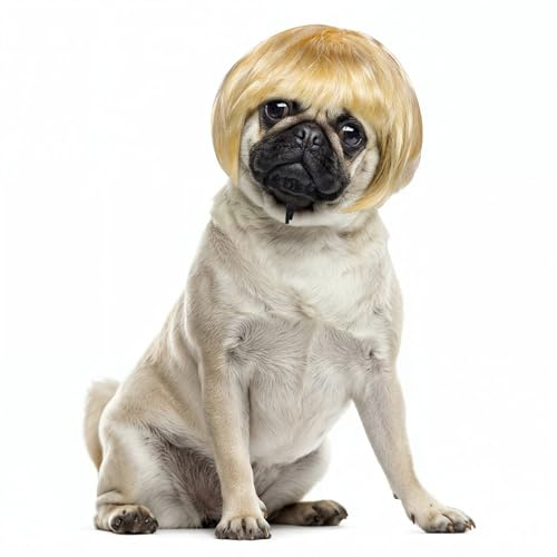 Cobee Lustige Hunde Katzen Cosplay Perücke,Haustier Perücke verstellbares Kostüm lustige Kopfbedeckung Kostüme Kopfbedeckung für kleine mittelgroße Perücken Halloween Weihnachten Dekorationen