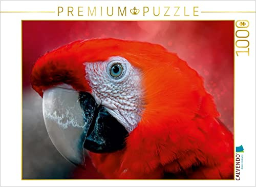CALVENDO Puzzle Mein bunter Papagei | 1000 Teile Lege-Größe 64 x 48 cm Foto-Puzzle für glückliche Stunden