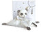 Doudou et Compagnie DC3536 ATTRAP-Reve - Panda-Bettdecke, grau