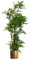 Leaf Artificial Realistic Natural Look Pot, Metal, Moss Fern Large Gold, 150cm