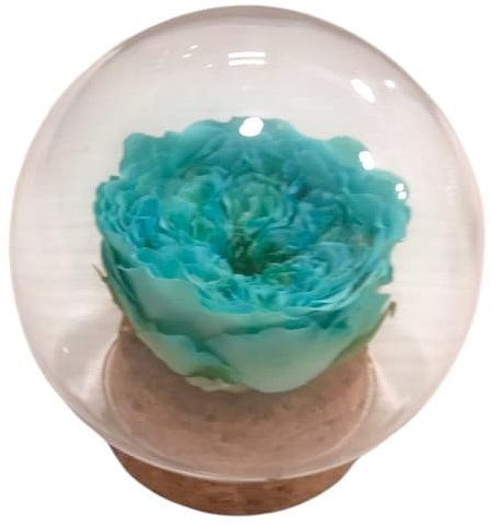 ROSE BLEU TURQUOISE naturelle préservée. Dôme en verre. Rose éternelle bleue. Achetez des roses bleues. Fleurs préservées. Dôme avec fleur bleue. Cadeau original, anniversaire, anniversaire de mariage
