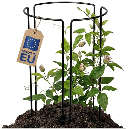 FRAMADO Pflanzenstütze Metall 3er Set – Halbrunde Staudenhalter für Pfingstrosen Hortensien Rosen und Stauden – Extra Stabile Garten Pflanzenstützen mit Schutzlackierung – EU Qualität (Schwarz, 45cm)