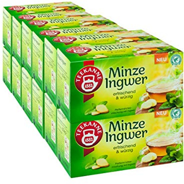 Teekanne Minze Ingwer, 12er Pack