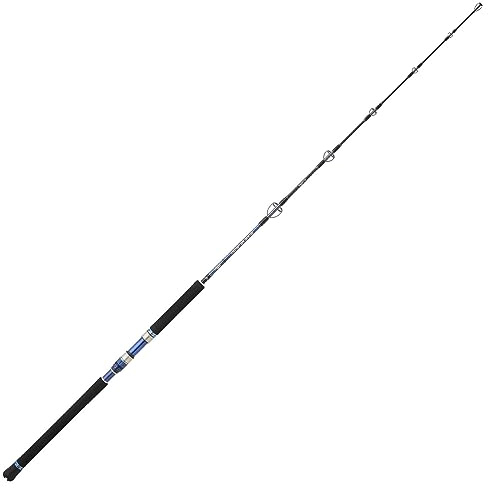 Hearty Rise 1,97m 400g Monster Game II - Baitcaster Meeresrute zum Hochseeangeln, Pilkrute für Norwegen & Island, Baitcasterrute zum Meeresangeln, Hochseerute zum Pilken & Jiggen