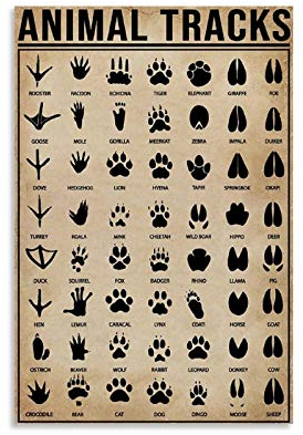 SMWY Retroposter, DYJ, Outdoor-Poster, Jagd, Tierspuren, Jagd, Poster, dekoratives Gemälde, Leinwand, Wandkunst, Wohnzimmer, Schlafzimmer, Gemälde, 40 x 60 cm