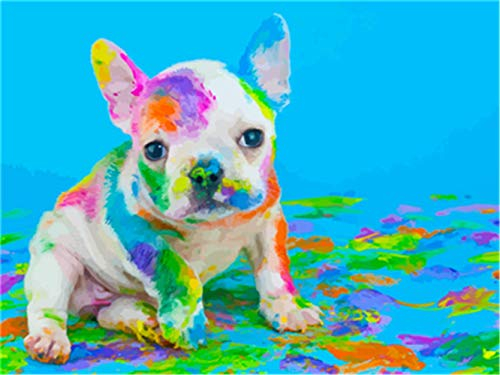 YEESAM ART DIY Ölgemälde Malen nach Zahlen Erwachsene Kinder, Bunt Farbe Hund Zahlenmalerei ab 5 Öl Wandkunst (Hund, mit Rahmen)