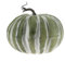 Woration 21,6 cm Großer Grüner Künstlicher Halloween Kürbisse Künstlicher Cushaw Kürbis Herbst Kürbis Party Weihnachten Heim Dekoration Schaum Obst Gemüse