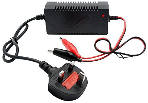 1000mA Motorbike Battery Chargers, Riloer 1A Automatic Smart Charger for 6V SLA Sealed Lead-Acid Batteries Charging 5-10Ah