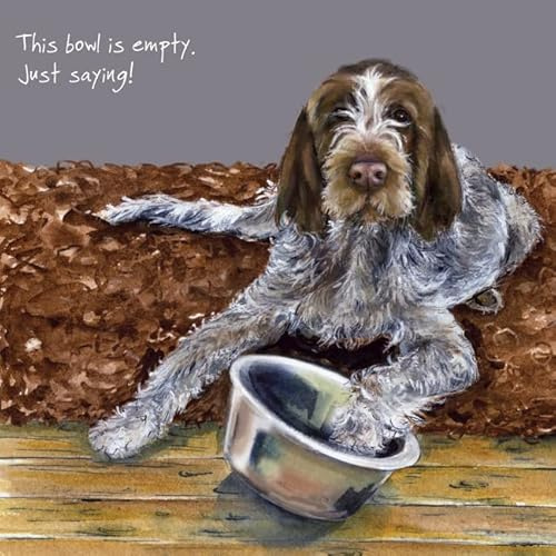 Italian Spinone Greeting Card