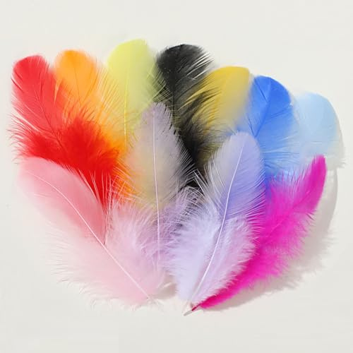 Bunt Federn,300 PCS Feather Craft Feathers Decorations Feather Coloured Feather Gemischte Farben Federn Federn Handwerk for DIY Dream Catcher Carnival Decorations Hat Vase Mask