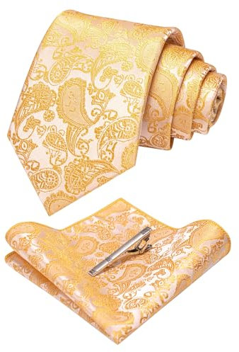 JEMYGINS Gelb 2 krawatte Paisley Seide Herren Krawatten und Einstecktuch mit krawattenklammer Sets