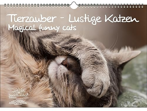 Tierzauber lustige Katzen DIN A3 Immerwährender Kalender lustige Katzen - Seelenzauber