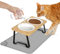 Lannvan Katzennapf Erhöht, 2er Set Futternapf Katze aus Keramik mit Napfunterlage Silikon, Ergonomischer Futterstation 15°gekippte Katzen Hundenapf,Fressnapf und Wassernapf für Katzen und kleine Hunde