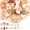 ZIGefofo Muscheln Gemischt 400g Natürliche Muscheln zum Basteln Meeresmuscheln Gemischte Ozean Conch Shell Muschel Deko für Vase Füllstoffe Strand Thema Party Fisch Panzer DIY Kunsthandwerk