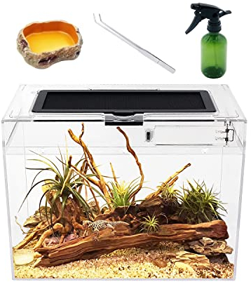 Reptile Growth Terrarium pour Reptiles, 30,5 x 17,8 x 22,9 cm, Verre, Cristal sans Danger, pénétration UVB et Infrarouge, pour Reptiles et Amphibiens