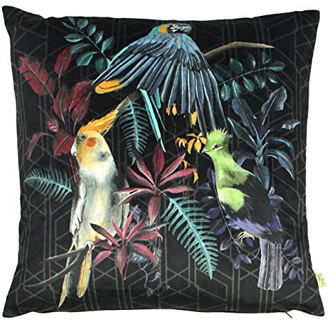 Evans Lichfield Zinara Kissenbezug, Polyester, Vögel, 43 x 43cm