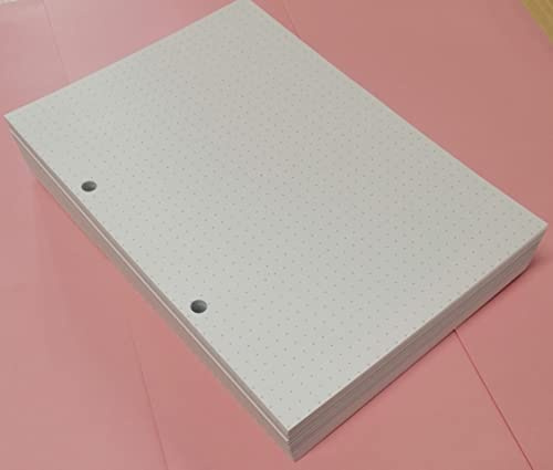 200 gepunktete Blätter (400 Seiten) mit 2 Löchern im Abstand von 8 cm. im Format A5 14,5 x 20,5 cm. für Ordner mit 2 Ringen - Punkte 5 mm. Papier 120 g/m²