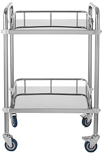 WXZX 2-lagiger Laborwagen,Medical Rollwagen,Servierwagen Abräumwagen,Edelstahl Sackkarre Lab Rollwagen Klinik Rollwagen Medizinisch Spa Beauty Salon Werkzeugauto Serving Lab Sackkarre-Silber