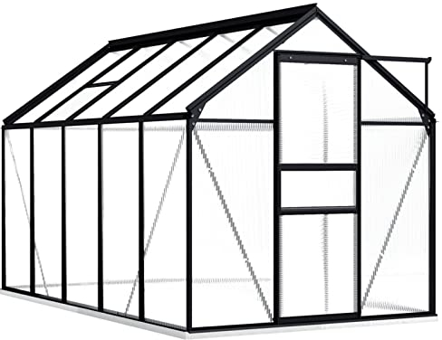 Festnight Serre avec Cadre de Base Serre de Jardin Aluminium Polycarbonate Greenhouse Base Culture Plantes Anthracite Aluminium- avec Cadre de Base-5,89 m²