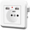 Prise USB, Prise Encastrable, 16A Prise USB Encastrable, Prise Murale avec USB et Type C (Max. 5V/2.1A), Prise USB pour PC Téléphone Portable Appareils électroménagers (1 prise avec 2 Ports USB)