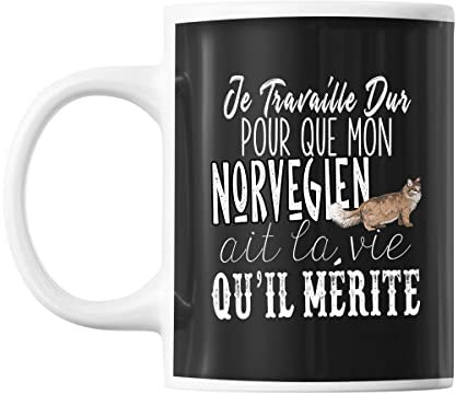 Mug Norvégien Je travaille dur