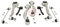 MASTER-SPORT Querlenker Satz 36837-KIT-MS vorne, vorne rechts, vorne links
